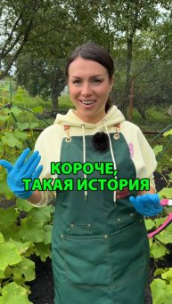 Короче, такая история проо огурцы