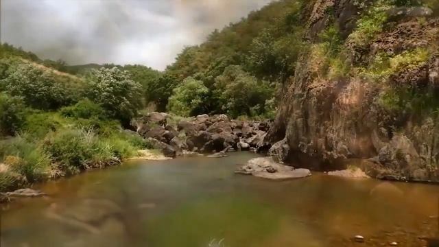 УСПОКАИВАЮЩАЯ МУЗЫКА ДЛЯ НЕРВОВ, МУЗЫКА ДЛЯ СЕРДЦА