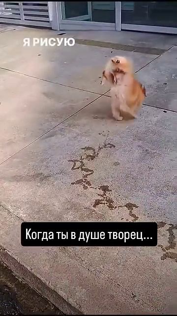 Когда ты в душе творец ....