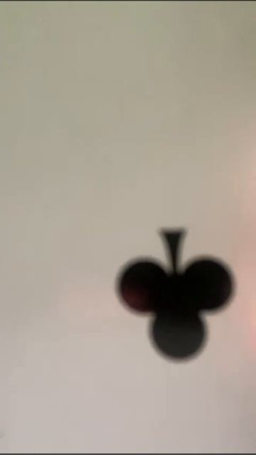 24-08-2025. Новый вечерний досуг. 😄