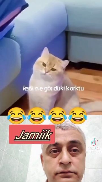 Шалунишка.
1000018462.mp4