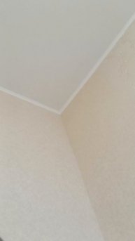 всем пр это я