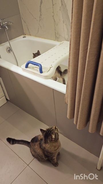 Китти и Саня для Авито 6