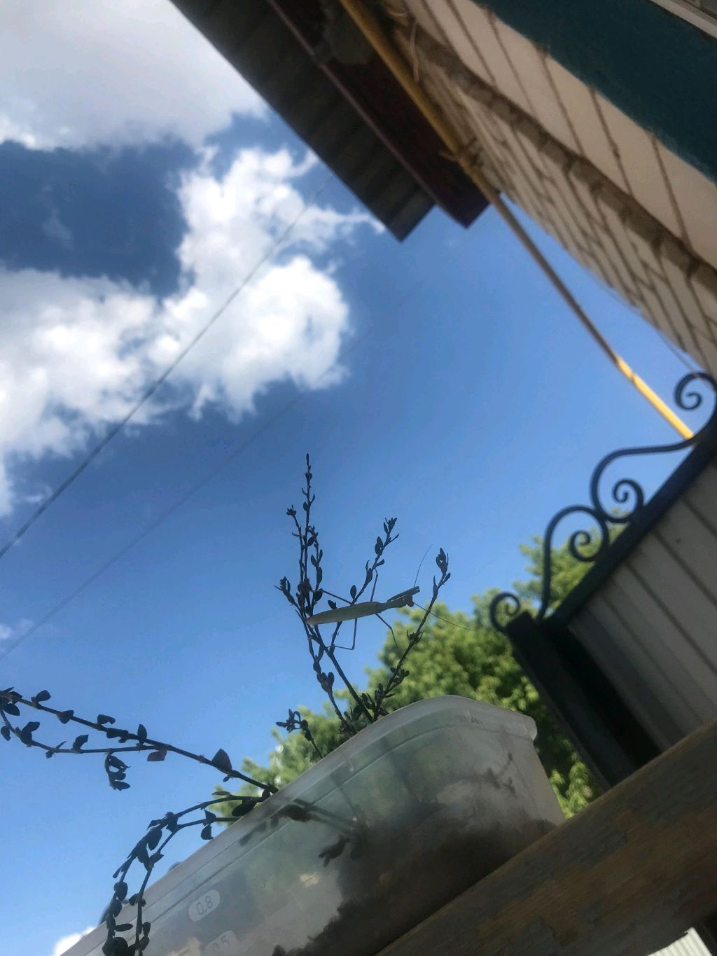 утренний день. 🎉