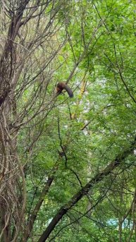 Прогулочка по парку 🥰🥰🥰