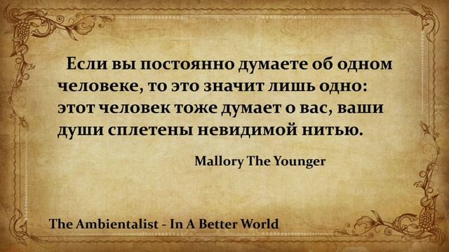 The Ambientalist - In A Better World