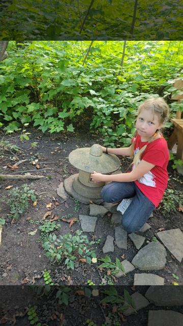 Пенза 2025. Ботанический сад.