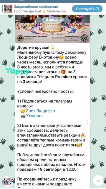 розыгрыш телеграм премиум 🎁