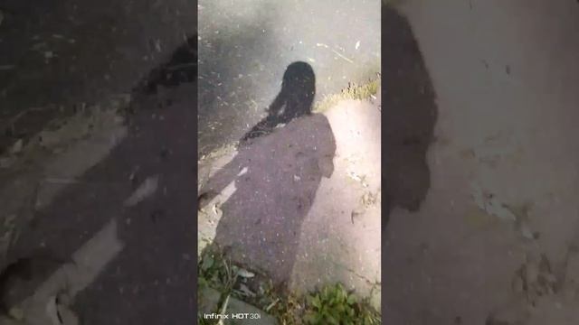 Я С КОТОМ НАШЕЛ РЯБИНУ