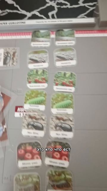 Из творческого сегодня: фишки для ёжика #24августа #24день #день24 #хобби #настольныеигры