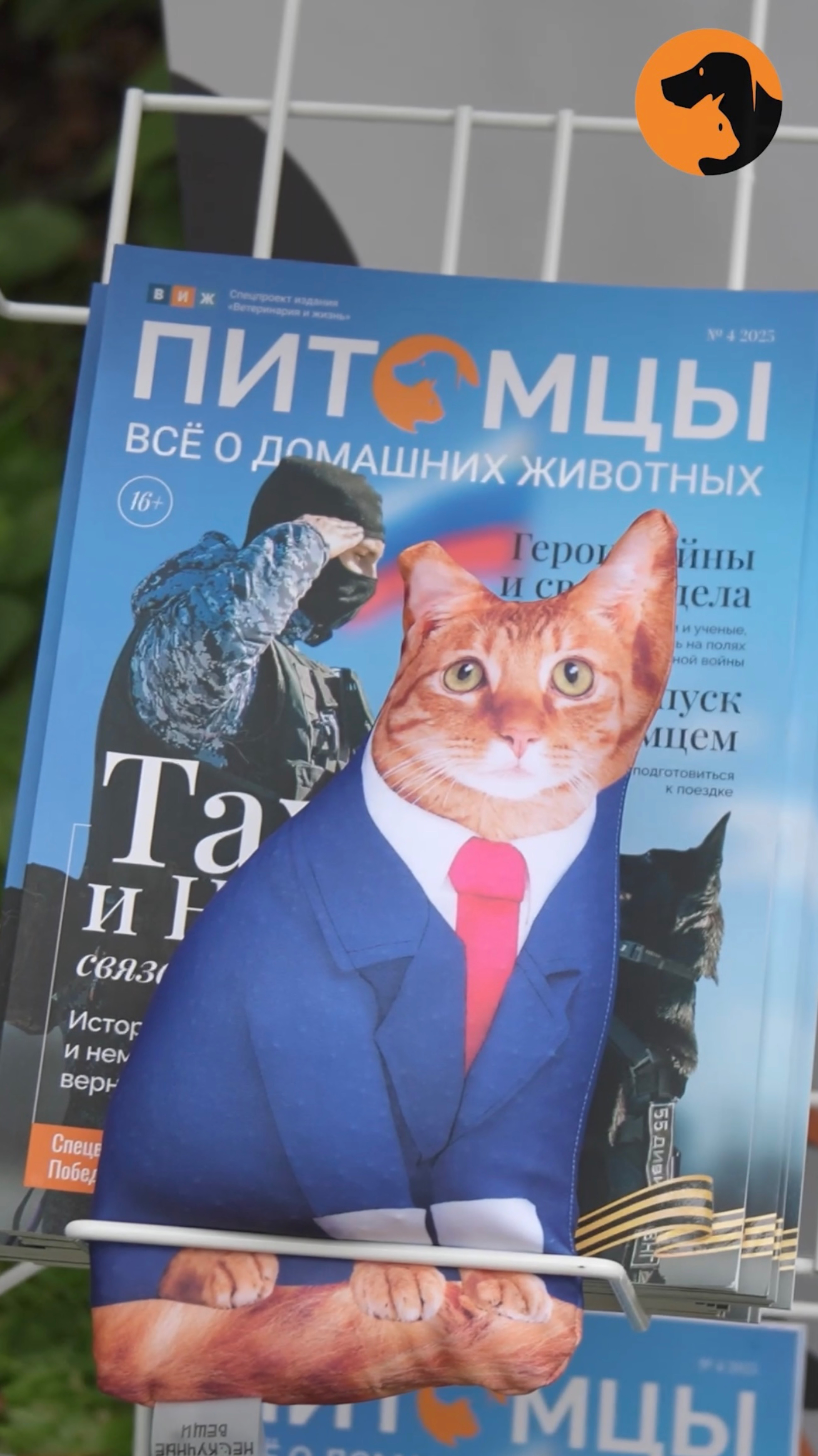 🧡«Питомцы» классно отработали два дня на самом крупном фестивале «Четыре лапы фест».