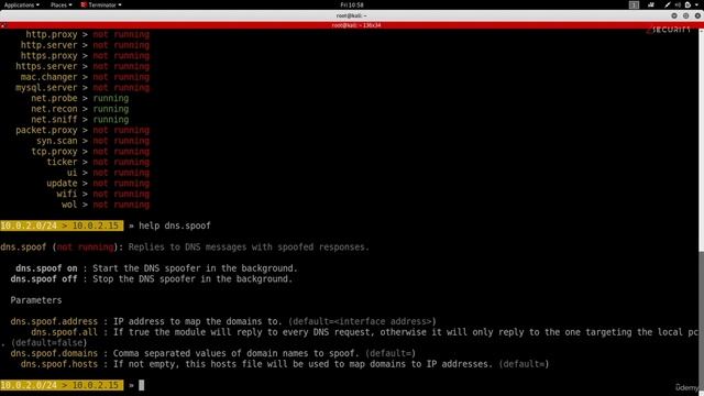 11.11. DNS Spoofing - Controlling DNS Requests on The Network11