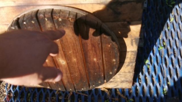 Тандыр из кирпича отделаный камнем