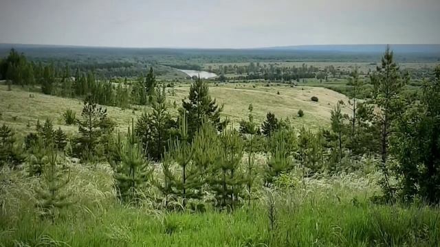 д.Ростислаевка, Ульяновская обл., часть 2