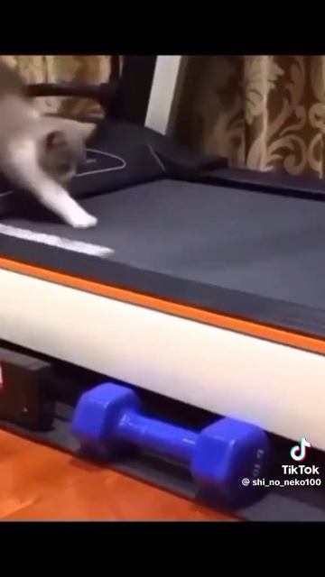 2003.mp4