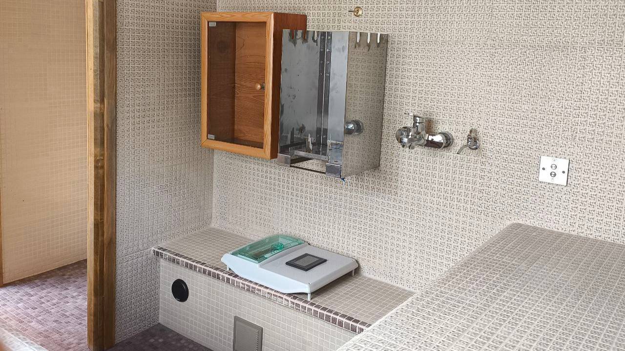 Модуль АЙ-да-баня обзор