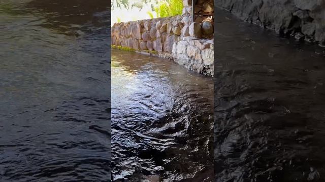 Святой источник целителя Пантейлемона