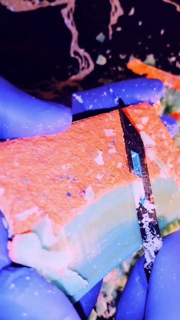 petal_20250822_012810.mp4