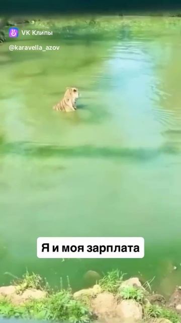 Я И МОЯ ЗАРПЛАТА