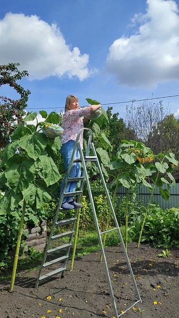 Время для радости