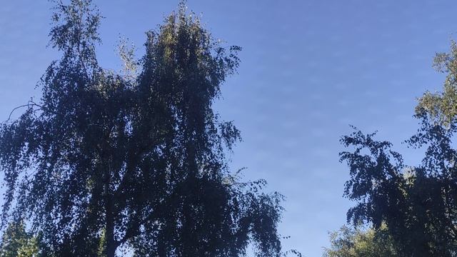 прогноз погоды от волшебника 24 августа...