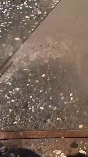 Красивые дорожки на участке Очень просто создаются, понадобится только бетон и камни