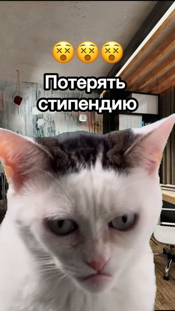 Каждый перваш боится этого