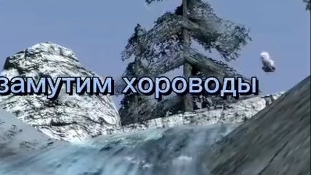 МАНДАРИНЫ ШАМПУС