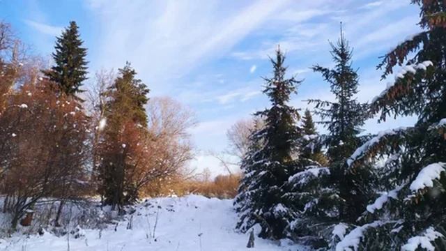 Ах ты, зимушка-зима_(Русская народная песня)