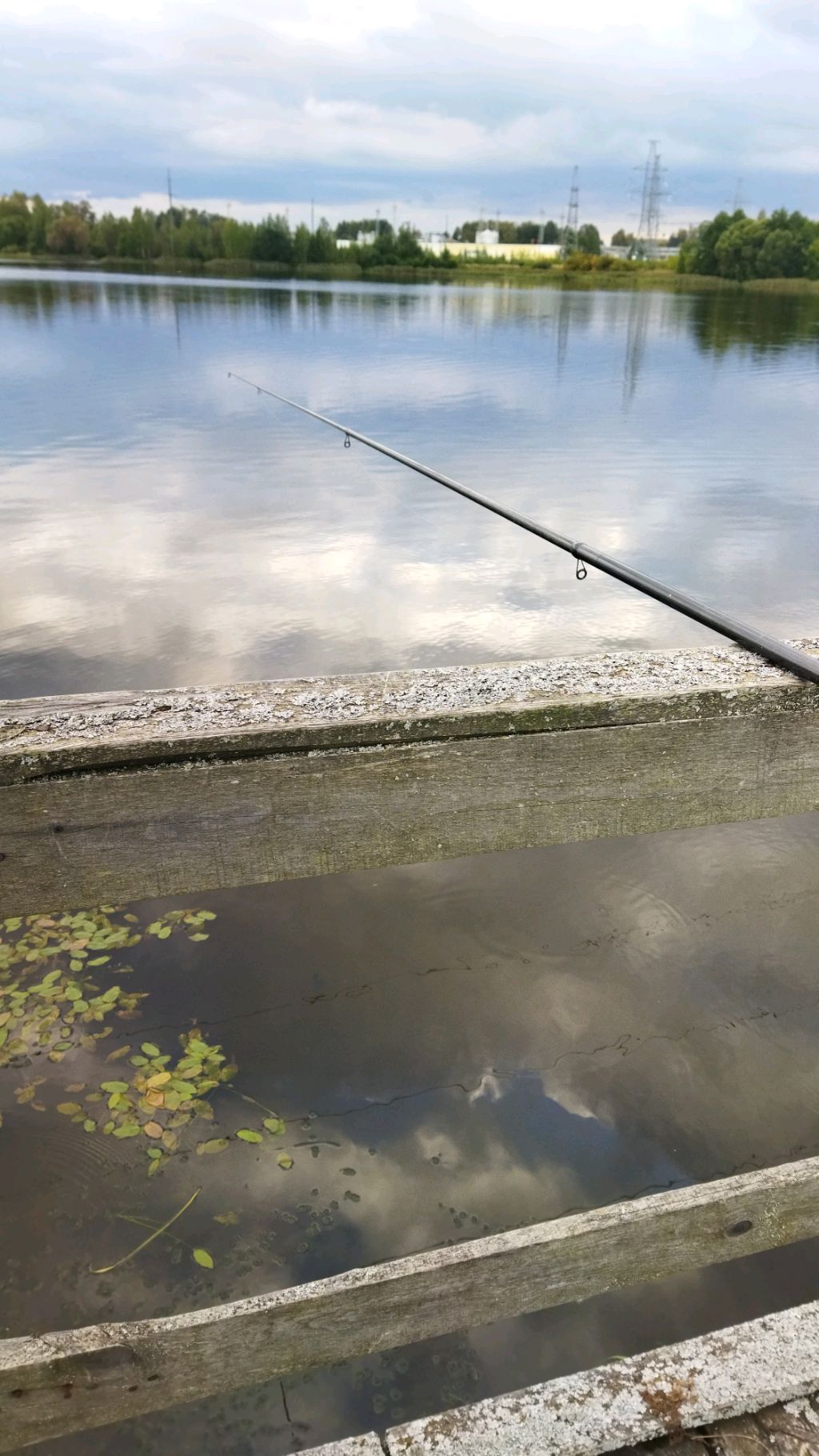 Ловим Окуня