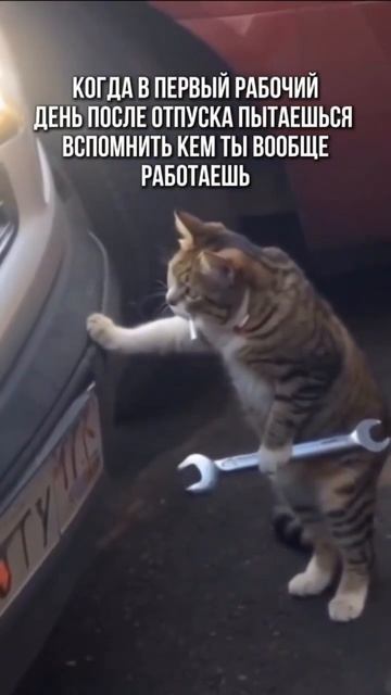 Жизненно 😂😍