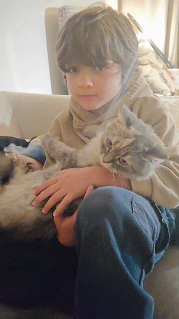 Китти и Саня для Авито 4