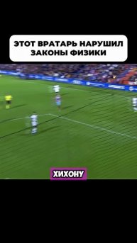 Фантастический гол ! ! !