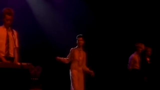 Depeche Mode - 1981 Tour： The Last Concert with Vince Clarke