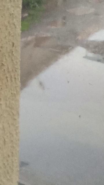 какая у нас погода в городе