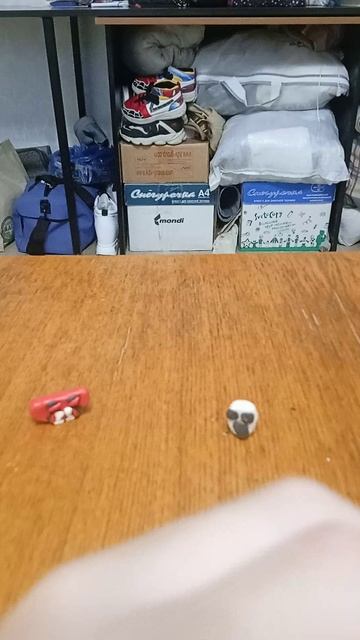 VID_20250824_162658.mp4