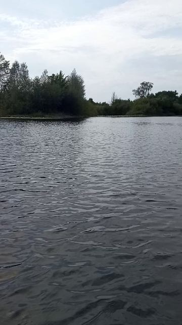 VID_20250823_135927.mp4