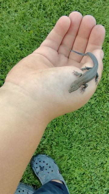 VID_20250823_182446.mp4