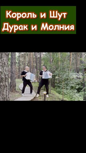 Король и Шут - Дурак и молния. КиШ. Михаил Горшенёв. Гармонисты Гармонист Русский рок Легенды рока