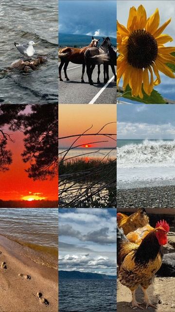 Л е т о 2025
#сибирь#байкал#аршан#браткоеморе#покажуроссию#фотографангарск#фотографиркутск#природа#