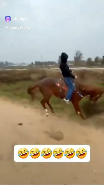 VID_20250824_155623_232.mp4