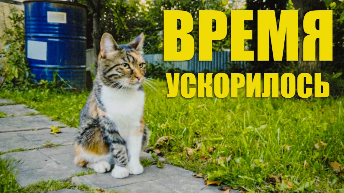 НАПИТОК ВРЕМЕНИ