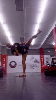 Мои тренировки