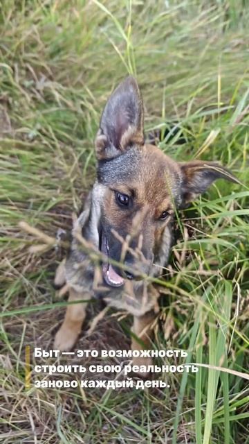 Будни женщины с хозяйством и характером