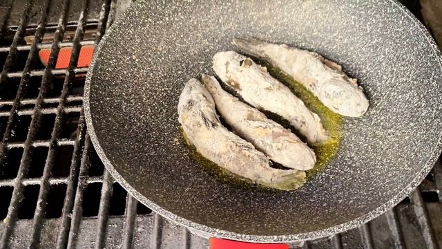 Жизнь в Болгарии | Я думал, что всё умею...но ошибался🤦♂️