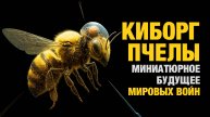 Насекомые киборги для разведок и войн