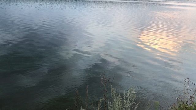 Субботняя рыбалка.Плотва клюёт.