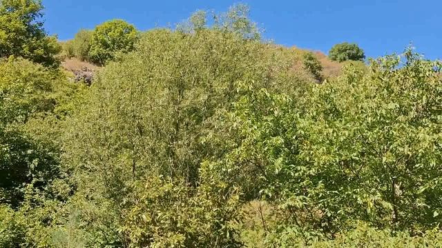 Опять на Мосейку.