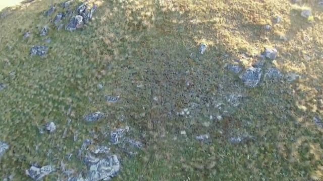 Утро в Джилы-Су