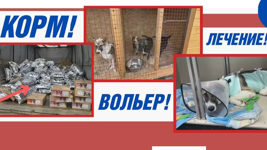 Скоро осень, надо успеть многое…